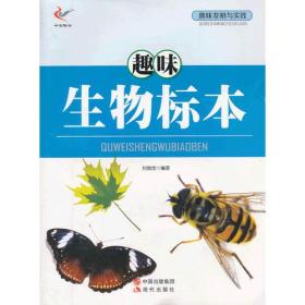 趣味发明与实践——趣味生物标本