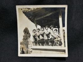 ●怀旧老照片：《阳光灿烂排排坐》【五十年代尺寸6X6公分】！