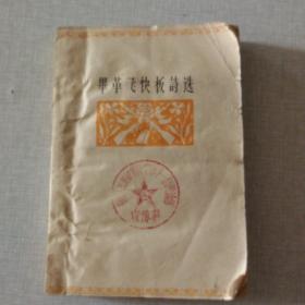 毕革飞快板诗选