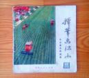 挥笔画江山-九台县农民画选