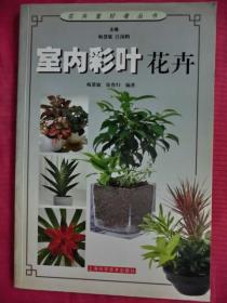 室内彩叶花卉（彩色铜版图文本）