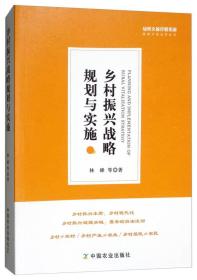 乡村振兴战略规划与实施/绿维文旅控股集团绿维开发运营丛书