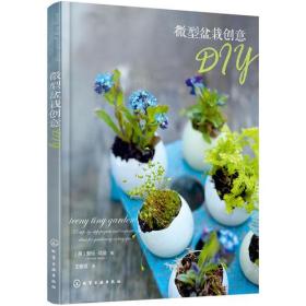 微型盆栽创意DIY