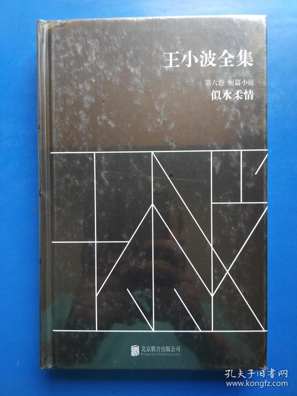 王小波全集第六卷:短篇小说:似水柔情