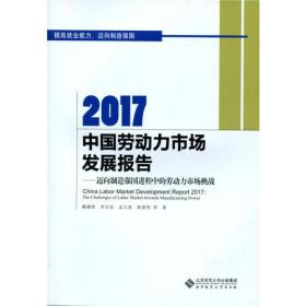 2017中国劳动力市场发展报告