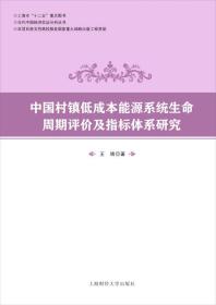 中国村镇低成本能源系统生命周期评价及指标体系研究