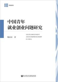 中国青年就业创业问题研究