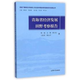 青海省经济发展田野考察报告