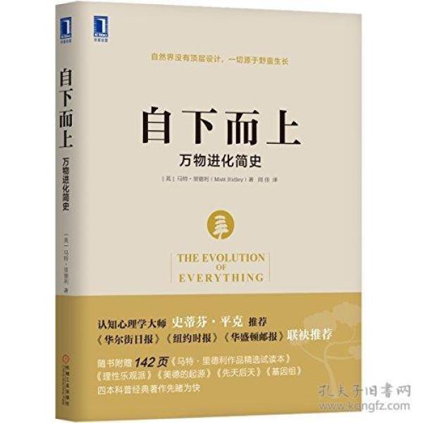 自下而上:万物进化简史