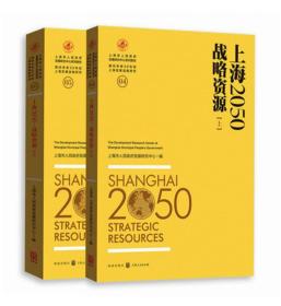 上海2050：战略资源（上下册）2196