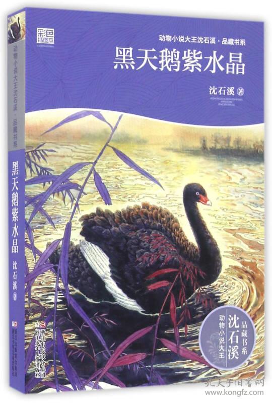 动物小说大王沈石溪·品藏书系·升级版：黑天鹅紫水晶