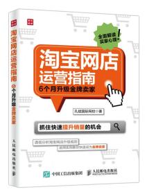 淘宝网店运营指南 6个月升级金牌卖家