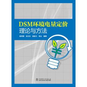 DSM环境电量定价理论与方法