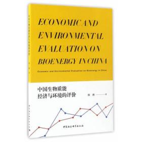中国生物质能经济与环境的评价
