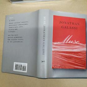 沉思小说 Muse A novel