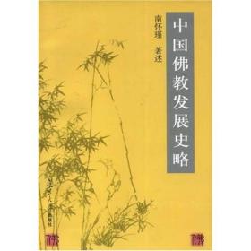 中国佛教发展史略 南怀瑾 复旦大学出版社