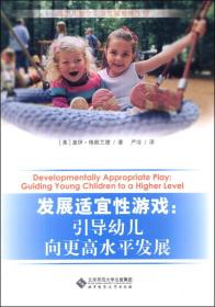西方儿童学习与发展指南丛书·发展适宜性游戏：引导幼儿向更高水平发展