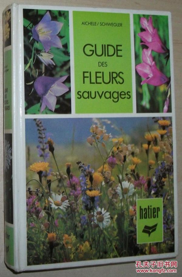 法文原版书 GUIDE DES FLEURS SAUVAGES Relié – de Dietmar Michele 彩色照片 法国西欧 实用野花指南