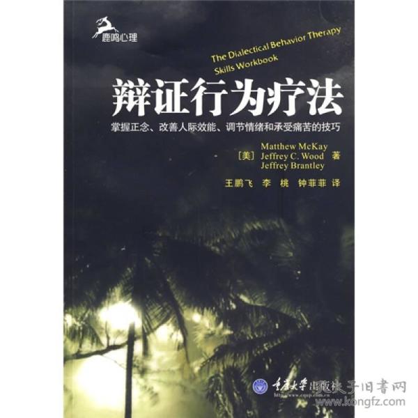 辩证行为疗法：掌握正念、改善人际效能、调节情绪和承受痛苦的技巧