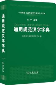 通用规范汉字字典 平装