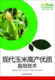 现代玉米高产优质栽培技术