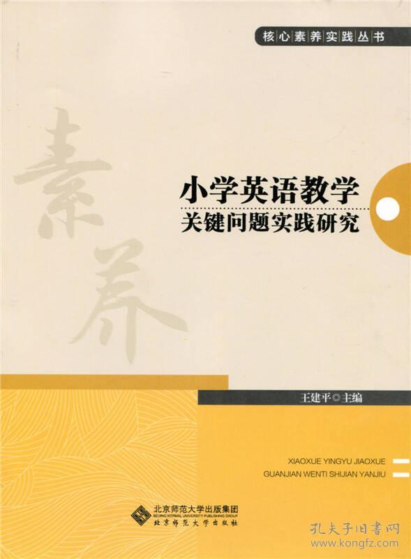 核心素养实践丛书:小学英语教学关键问题实践研究