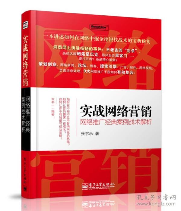 实战网络营销：网络推广经典案例战术解析