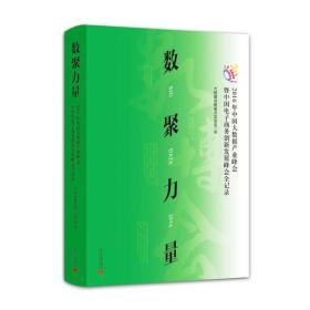 数聚力量：2016年中国大数据产业峰会暨中国电子商务创新发展峰会全记录