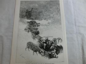 【现货 包邮】1884年木刻版画《达尔马提亚山居民》暴风雪下的牧羊人和羊群（Dalmatinischer Gerbirgsbewohner ）  尺寸约40.8*27.5厘米（货号M5）