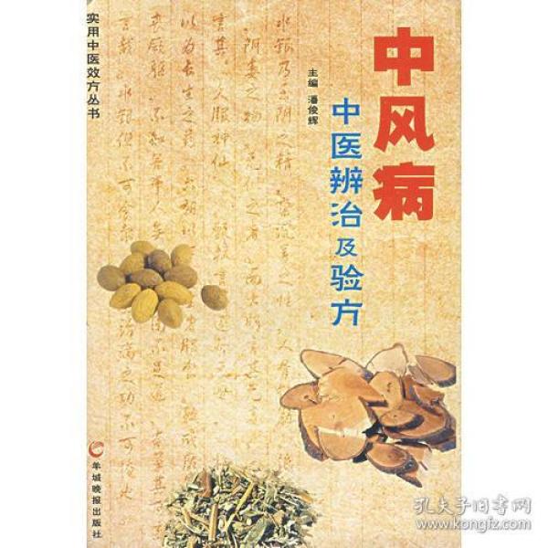中风病中医辨治及验方(16开平装 全1册)