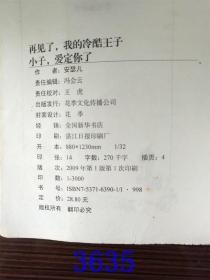 再见了我的冷酷王子小子爱定你了