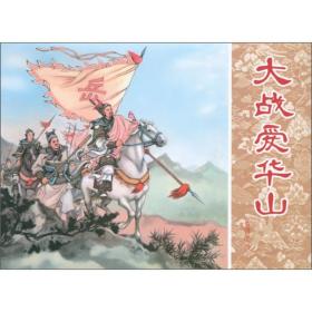 岳传：大战爱华山