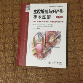 盆腔解剖与妇产科手术图谱（下卷）：其他相关妇科手术、内镜检查与内镜手术（第3版）