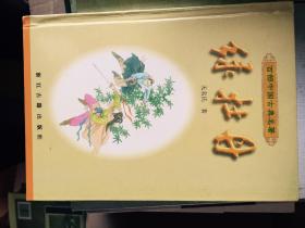 绿牡丹