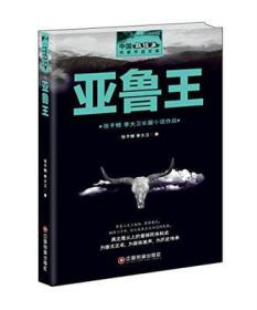 中国新锐派作家作品文库：亚鲁王