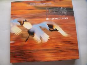 仙鹤——潘嵩毅丹顶鹤摄影作品集（作者签赠本，精装！）