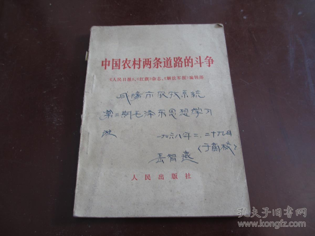 中国农村两条道路的斗争