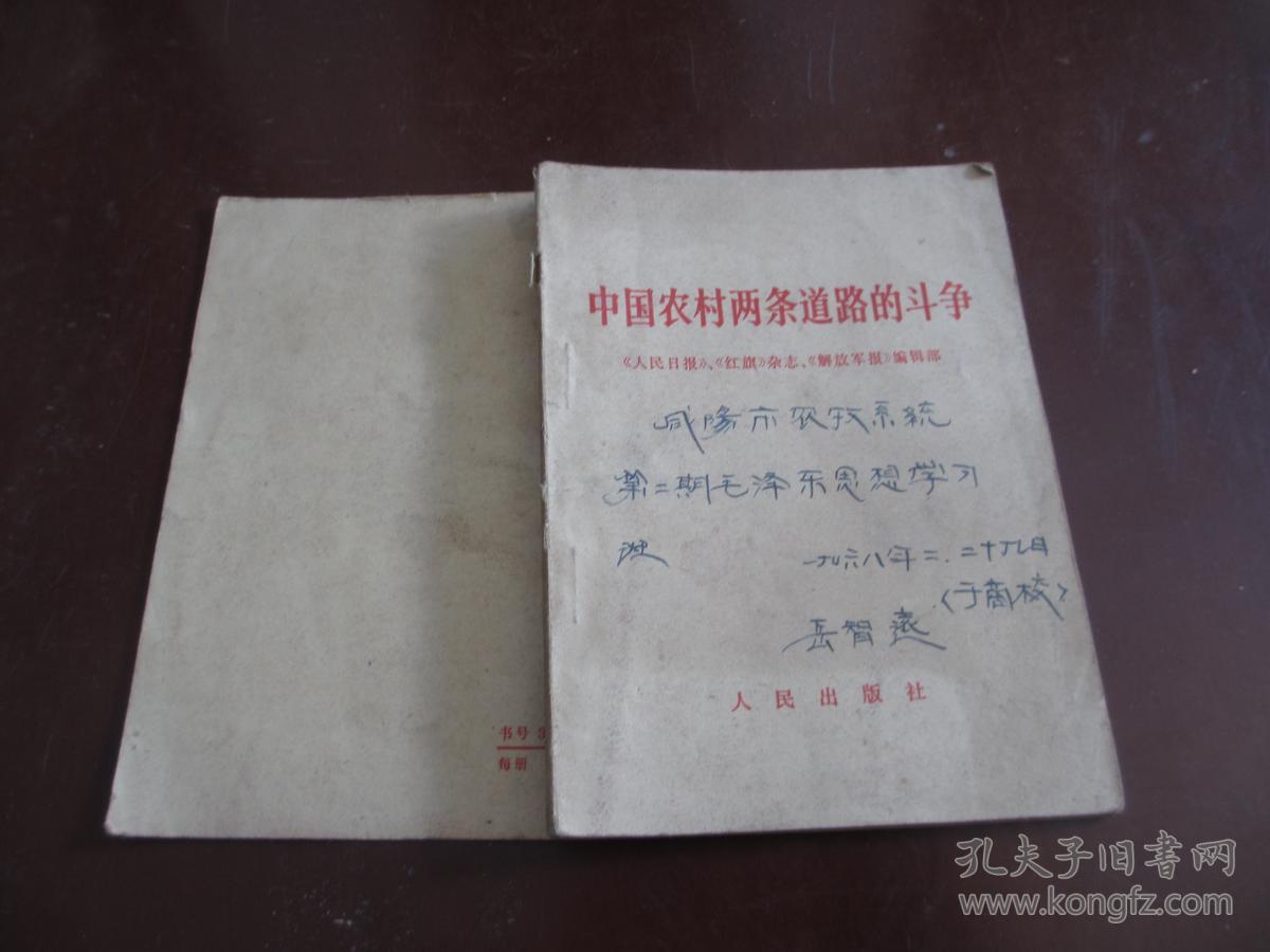 中国农村两条道路的斗争