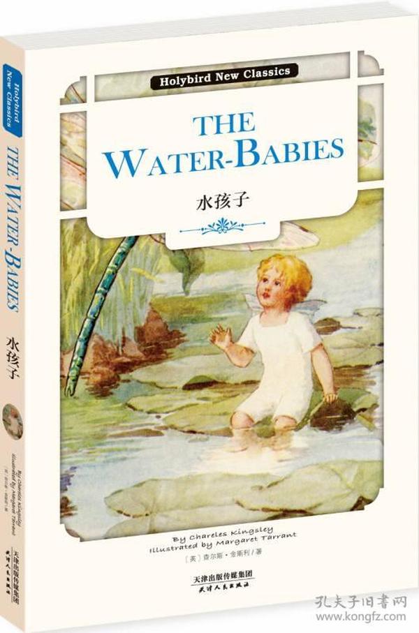 水孩子：THE WATER-BABIES（英文原版）