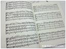 十一个晚期弦乐四重奏 Eleven Late String Quartets, Opp. 74, 76 and 77, Complete(Joseph Haydn)