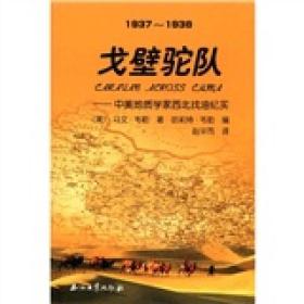 戈壁驼队：中美地质学家西北找油纪实