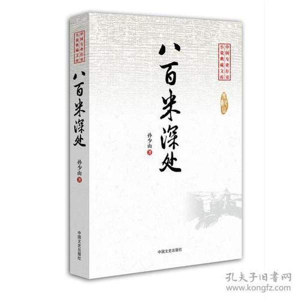 八百米深处（中国专业作家小说典藏文库）