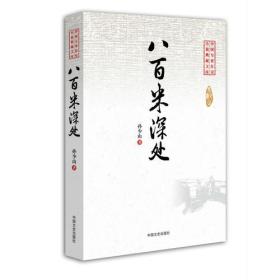 八百米深处（中国专业作家小说典藏文库）