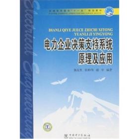 电力企业决策支持系统原理及应用