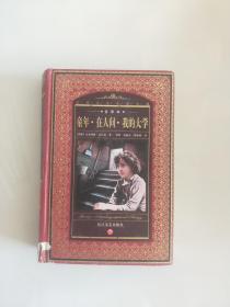 童年在人间我的大学（全译本）