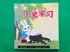 小兔学习