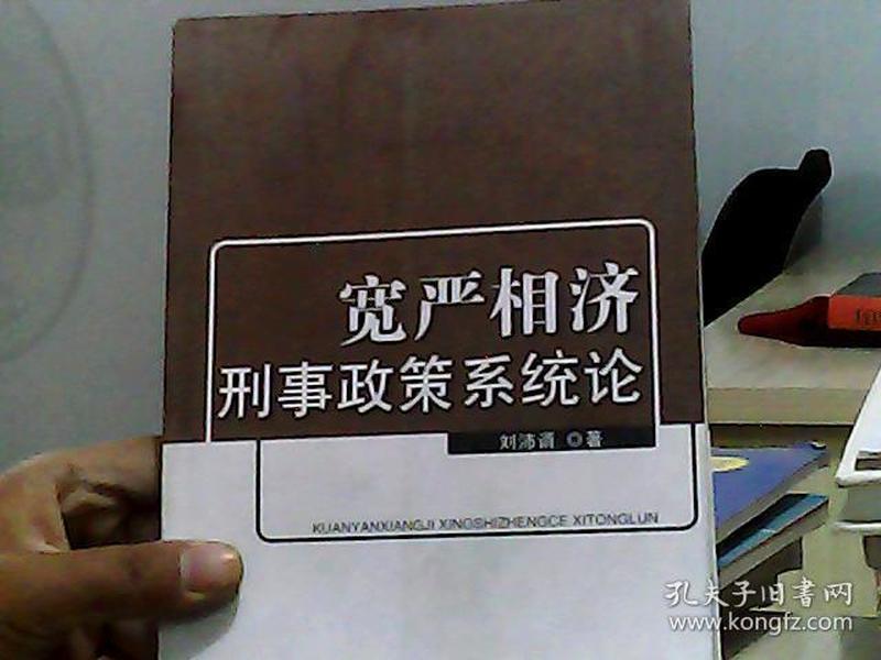 宽严相济刑事政策系统论