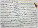 大风琴曲作品Great Organ Transcriptions 26 Works by Liszt,Saint-saens,Bach and others(Rollin Smith)英文原版曲谱
