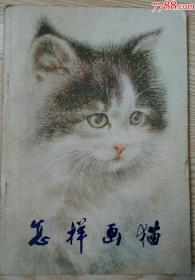 怎样画猫