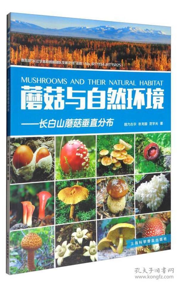 蘑菇与自然环境：长白山蘑菇垂直分布